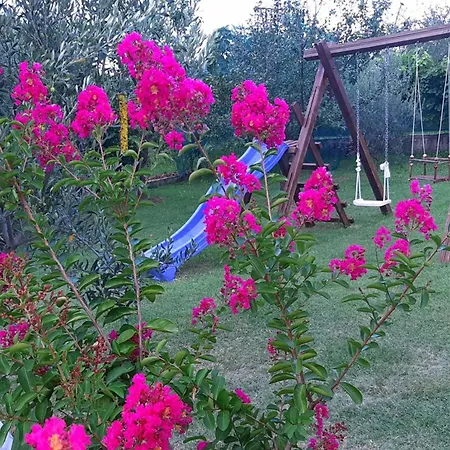 Mit Und Meerblick Holiday home *